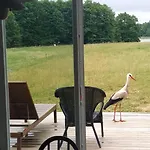 Dom Nad Buwelnem Marcinowa Wola